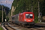 Siemens 20359 - ÖBB "1016 011-7"
16.07.2008 - Brixlegg
Gál András