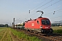 Siemens 20359 - ÖBB "1016 011"
30.08.2017 - near Ludwigsau-Reilos
Patrick Rehn