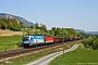 Siemens 20371 - ÖBB "1016 023-2"
22.04.2011 - Neuhaus an der Gail
Roman Reinhold