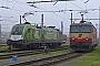 Siemens 20371 - ÖBB "1016 023"
23.11.2014 - SalzburgThomas Girstenbrei