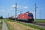 Siemens 20374 - ÖBB "1016 024"
01.06.2017 - Trautmannsdorf an der Leitha-Sarasdorf
Marcus Schrödter