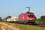 Siemens 20376 - ÖBB "1016 029"
24.07.2018 - Münster (bei Dieburg)
Kurt Sattig