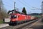 Siemens 20378 - ÖBB "1016 030"
01.04.2014 - Wallersee
André Grouillet