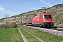 Siemens 20381 - ÖBB "1016 033"
22.04.2021 - ThüngersheimAlex Huber