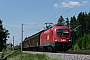 Siemens 20382 - ÖBB "1016 034"
25.05.2012 - Mering
Thomas Girstenbrei