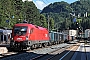 Siemens 20386 - ÖBB "1016 038"
04.07.2018 - Steinach in Tirol
Tobias Schmidt