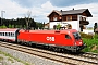 Siemens 20388 - ÖBB "1016 040"
04.05.2016 - Teisendorf
Peider Trippi