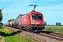Siemens 20389 - RCC - DE "1016 041-4"
11.08.2023 - Babenhausen-Harreshausen
Kurt Sattig