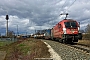 Siemens 20396 - RCC - DE "1016 048-9"
13.03.2019 - Nürnberg, Abzweig Hohe Marter
Paul Tabbert