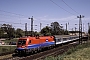 Siemens 20417 - ÖBB "1116 020-7"
06.05.2011 - KomaromWerner Brutzer