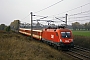 Siemens 20422 - ÖBB "1116 025-6"
27.10.2008 - Gramatneusiedl
Tamás Horváth