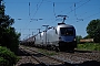 Siemens 20445 - WRS "ES 64 U2-100"
18.08.2019 - Müllheim (Baden)
Vincent Torterotot