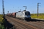 Siemens 20445 - Raildox "ES 64 U2-100"
07.09.2013 - Großkorbetha
Marcus Schrödter