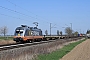 Siemens 20447 - Hector Rail "242.532"
29.03.2019 - KenzingenAndré Grouillet