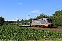 Siemens 20447 - Hector Rail "242.532"
28.06.2018 - Stubben
Eric Daniel