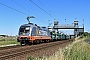 Siemens 20447 - Hector Rail "242.532"
23.06.2020 - Schkeuditz WestRené Große