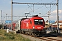 Siemens 20461 - ÖBB "1116 032"
17.06.2014 - Znojmo
Thomas Wohlfarth