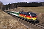 Siemens 20465 - ÖBB "1116 036-3"
21.03.2009 - Horni Dvoriste
Martin Radner