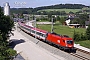 Siemens 20465 - ÖBB "1116 036-3"
04.06.2010 - Redl-Zipf
Martin Radner