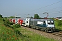 Siemens 20467 - ÖBB "1116 038-9"
27.05.2008 - Tallesbrunn
Juraj Streber