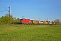 Siemens 20467 - ÖBB "1116 038"
20.04.2017 - Thüngersheim
Marcus Schrödter