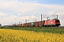 Siemens 20467 - ÖBB "1116 038"
25.04.2023 - Lehliu
Martin Drube
