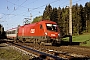 Siemens 20473 - ÖBB "1116 044-7"
07.05.2008 - Ederbauer
Werner Brutzer