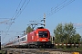 Siemens 20478 - ÖBB "1116 049-6"
20.04.2008 - Strasshof
Krisztián Balla