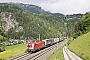 Siemens 20479 - ÖBB "1116 050"
03.06.2016 - Steinach in Tirol
Lukas Jirku
