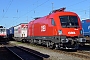 Siemens 20481 - ÖBB "1116 052"
13.10.2013 - München-Ost
Thomas Girstenbrei