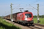 Siemens 20488 - ÖBB "1116 059"
23.05.2019 - Roth-Bernloh
Leo Wensauer