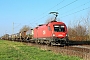 Siemens 20489 - ÖBB "1116 060"
02.04.2025 - Dieburg Ost
Kurt Sattig