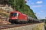 Siemens 20490 - ÖBB "1116 061"
11.08.2022 - Großpürschütz
Christian Klotz