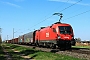 Siemens 20492 - ÖBB "1116 063"
05.04.2025 - Babenhausen-Harreshausen
Kurt Sattig