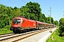 Siemens 20493 - ÖBB "1116 064"
27.05.2017 - Grabenstätt
Peider Trippi