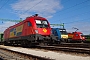 Siemens 20494 - GySEV "1116 065"
14.10.2014 - SopronNorbert Tilai