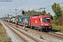 Siemens 20494 - ÖBB "1116 065"
23.09.2017 - München-Langwied
Frank Weimer