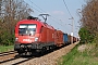 Siemens 20498 - ÖBB "1116 069-4"
25.04.2010 - Deutsch-Wagram
Ferenc Joó