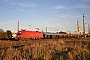 Siemens 20500 - ÖBB "1116 071"
19.10.2014 - Gramatneusiedl
Gerold Rauter