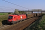 Siemens 20504 - ÖBB "1116 075-1"
11.04.2009 - Gramatneusiedl
Gál András