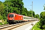 Siemens 20505 - ÖBB "1116 076"
27.05.2017 - GrabenstättPeider Trippi