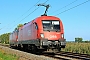 Siemens 20510 - ÖBB "1116 081"
15.09.2023 - Altheim (Hessen)
Kurt Sattig