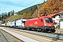 Siemens 20513 - ÖBB "1116 084"
17.10.2017 - Steinach in Tirol
Kurt Sattig