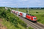 Siemens 20515 - ÖBB "1116 086-8"
22.05.2008 - Gumpoldskirchen
Ligeti Gábor