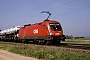 Siemens 20515 - ÖBB "1116 086-8"
07.06.2007 - FliedenWerner Brutzer