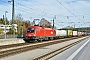 Siemens 20516 - ÖBB "1116 087"
24.10.2019 - Traunstein
Michael Umgeher