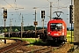 Siemens 20524 - ÖBB "1116 095"
25.05.2017 - Gramatneusiedl
Peider Trippi