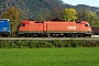 Siemens 20525 - ÖBB "1116 096"
25.10.2013 - Niederaudorf
Jens Bieber