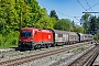Siemens 20527 - ÖBB "1116 098"
30.04.2026 - Aßling (Oberbayern)Mathias May