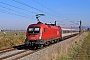 Siemens 20529 - ÖBB "1116 100"
07.03.2025 - Heddesheim
Wolfgang Mauser